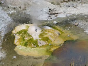 Mudpot (Geysers)