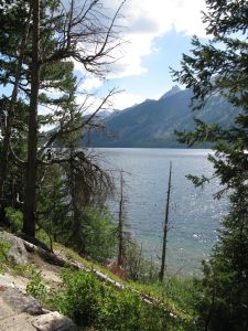 Reflection Leads us to restoration. (Terry Williams)